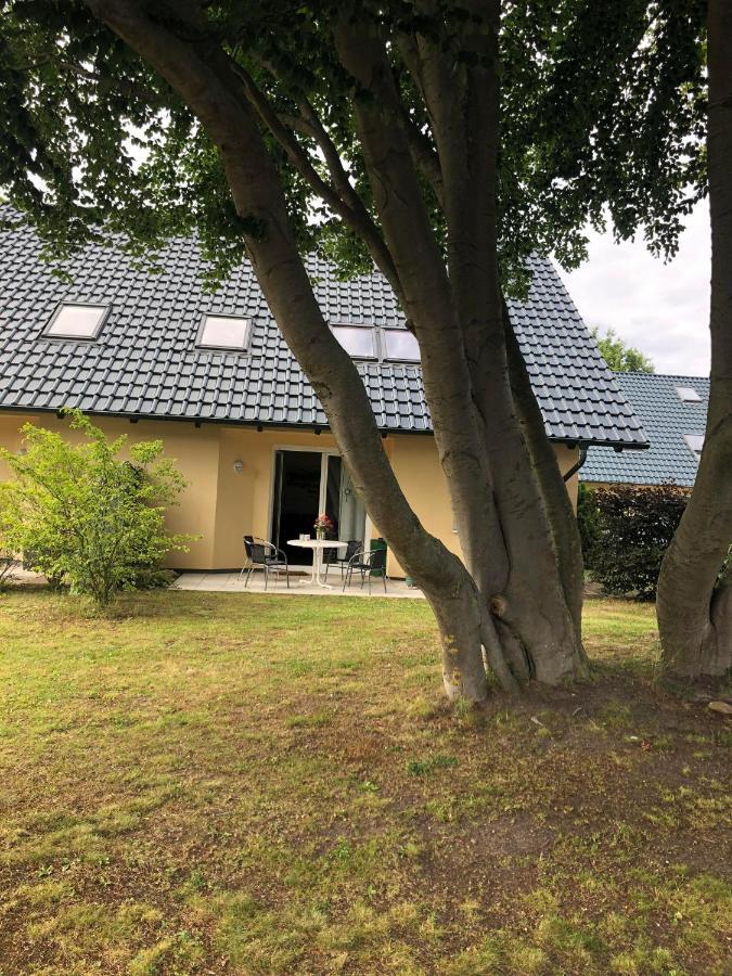 Ferienwohnung 'Bei Den Buchen' Zempin Kültér fotó